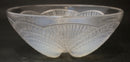 René Lalique 21cm “Coquilles” bowl