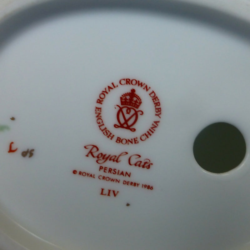 RCD Persian Cat 2