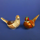 RCD Cock and Hen Pheasants