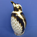 Royal Crown Derby Endangered Species Paperweight - Galapagos Penguin (Boxed)