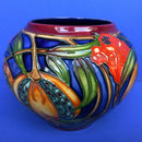 Moorcroft Plevriana Medium