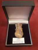 A Medieval Pilgrims Lead Holy Water Ampulla , Decorated With The Long Arrow Of Walsingham.