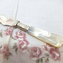 Vintage Silver Plate & Mother of Pearl Butter Knife
