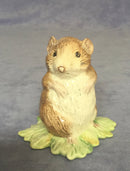 Beswick Beatrix Potter figure Beswick Timmy Willy figure BP3