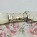 Vintage Silver Plate & Mother of Pearl Butter Knife