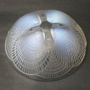 René Lalique 21cm “Coquilles” bowl