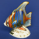 Royal Crown Derby Paperweight - Pacific Angel Fish (Boxed)