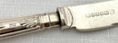 Edwardian Cased Set of Silver Handled Fruit Knives & Forks. Sheffield 1901.