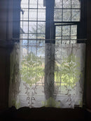 Scottish Madras Panel Classic Large a Scale Motif Antique Design in Espresso and Pistachio 68” / 36”