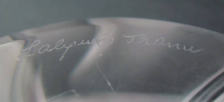 Lalique "Jimson" paperweight