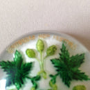 1950's lucite Whitbread Hop Festival brooch
