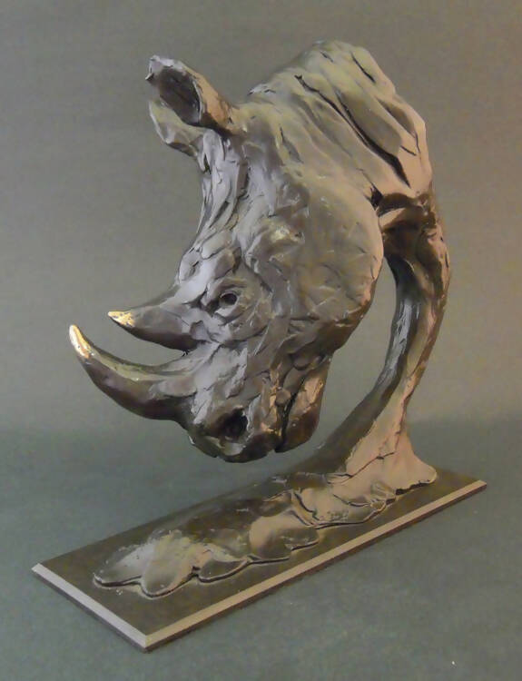 Rhino Head - sculpture by Edward Waites