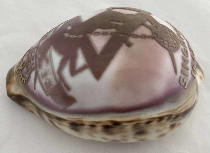 Engraved Cowrie Shell with Insignia of the Royal Electrical & Mechanical Engineers.