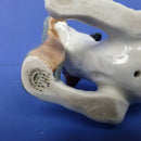 Royal Doulton Character Dog With Slipper HN2654
