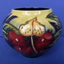 Moorcroft Vase Simeon By Philip Gibson
