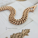 Antique 9ct Albert Chain & Swivel Bloodstone & Cornelian Seal