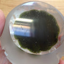 Caithness limited edition 'Seabase' paperweight