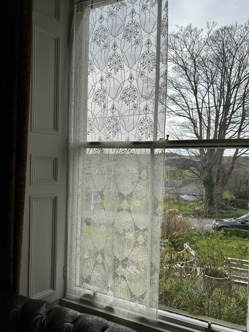 Florence 29” white cotton lace available off the roll per metre