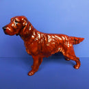 Royal Doulton Red Setter Dog Ch. 'Pat O'Moy Dog HN1055