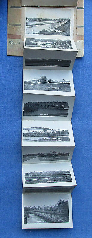Collection Two Novelty/Humorous Golf/Golfing Postcard (s)/Scenes Powfoot