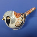 Royal Crown Derby Paperweight - Bearded Tit