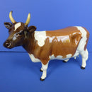 Beswick Ayrshire Cow Ch. 'Ickham Bessie' Model No 1350